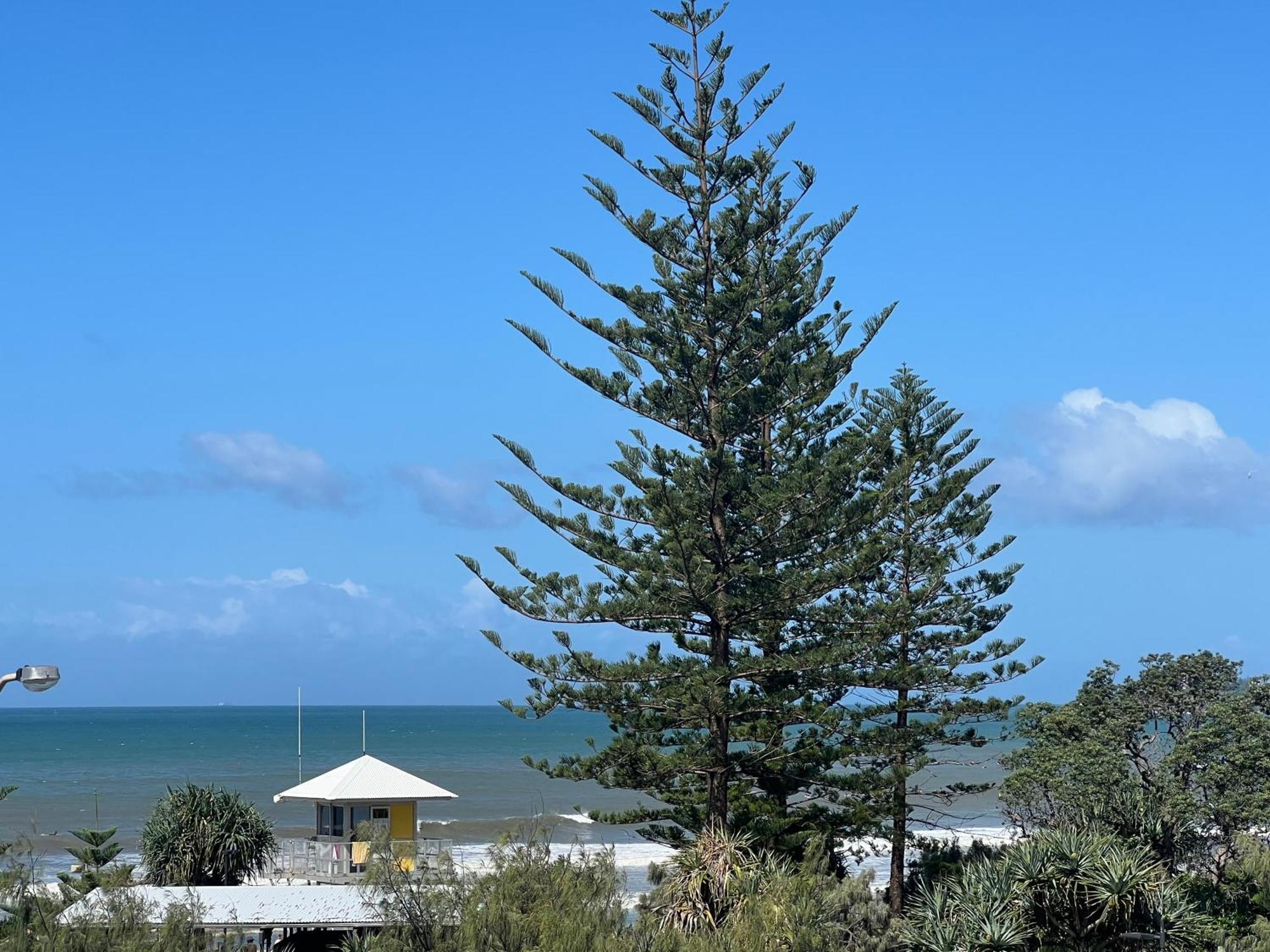 Ocean View - Alexandra Headlands Beachfront Unit Εξωτερικό φωτογραφία
